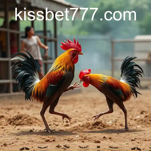 Online Sabong and the Rise of Kissbet